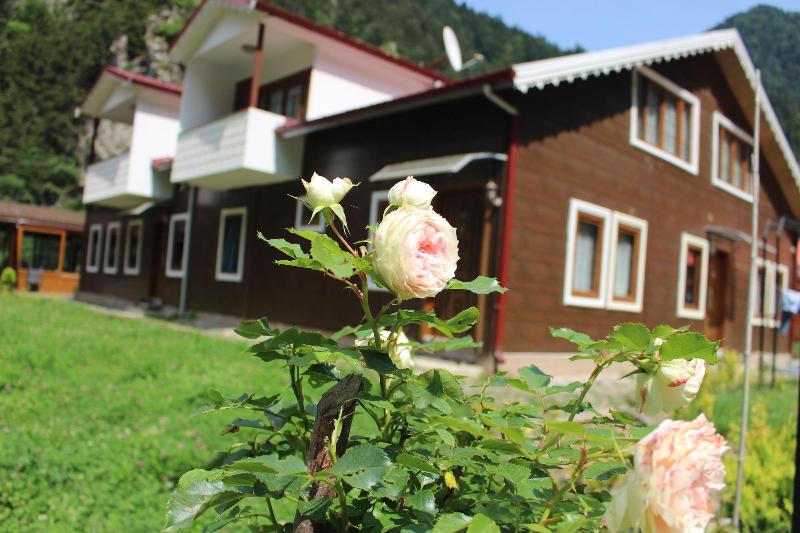 Selale Otel ve Bungalow image