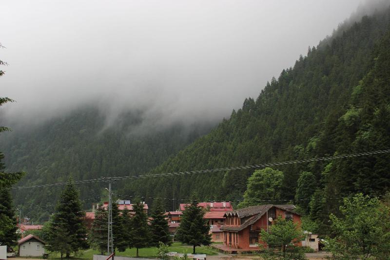 Selale Otel ve Bungalow image