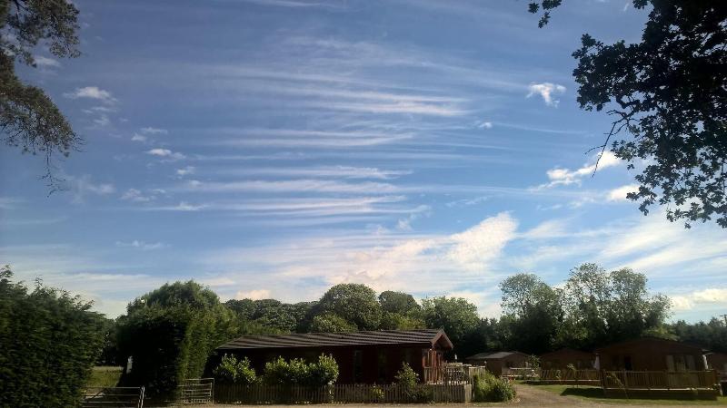 King's Lynn Caravan & Camping Park image