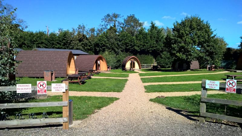 King's Lynn Caravan & Camping Park image