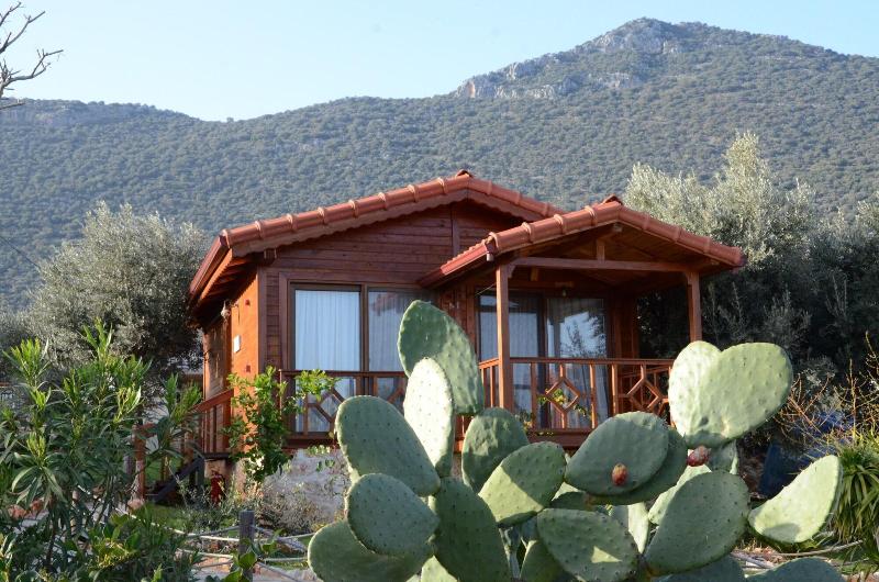 Doganin Ruhu Hotel & Bungalow image