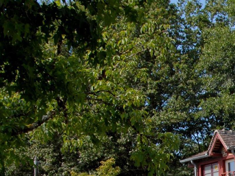 Logis Hotel Le Moulin De Villiers — photo 4