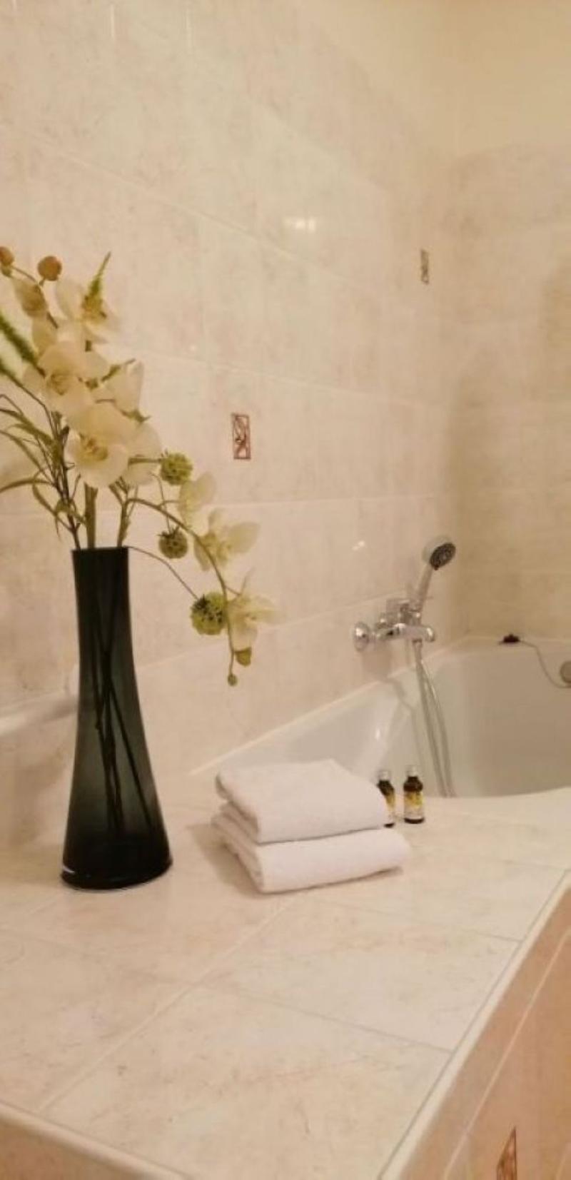 Logis Hotel Le Pelican image