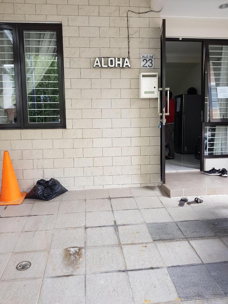 Aloha Guest House - 1 Male Only by ZUZU image