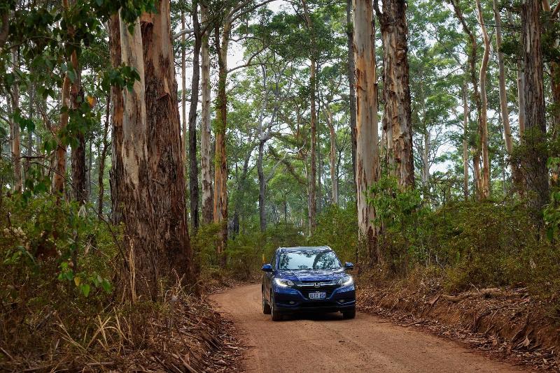 RAC Margaret River Nature Park image