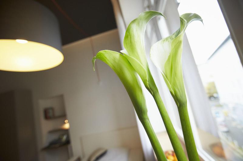 Aparthotel TU-TU image