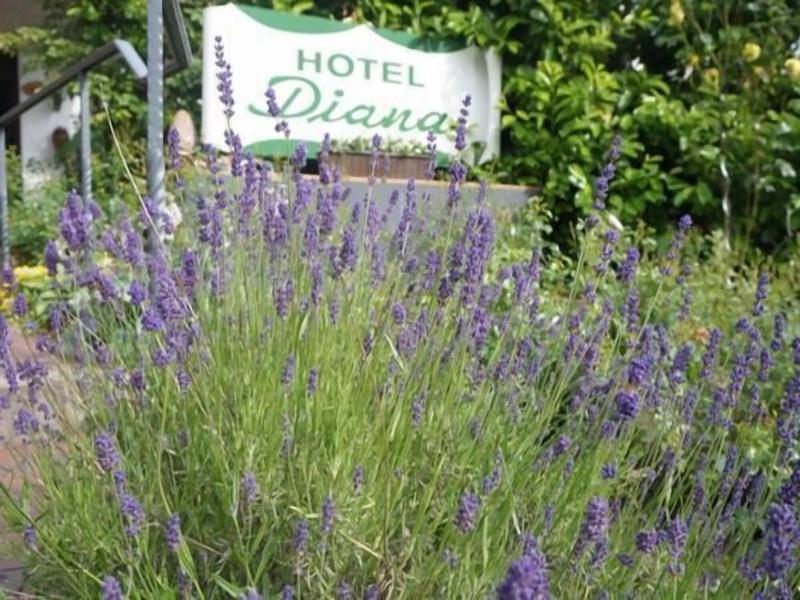 Hotel Diana image