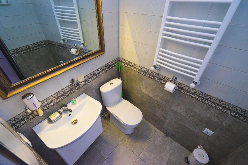 Silver Hotel image