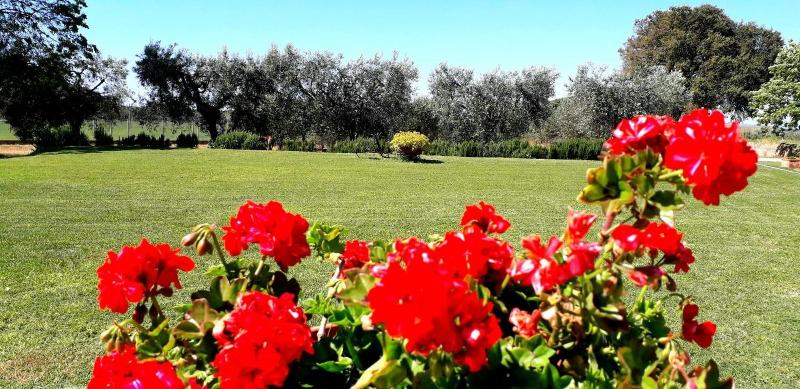 Agriturismo Monte Argentario image
