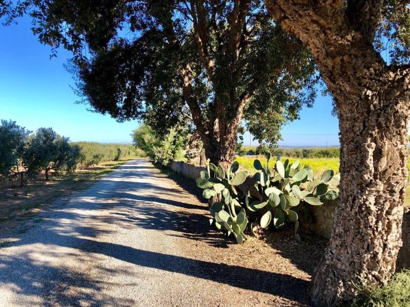 Agriturismo Monte Argentario image