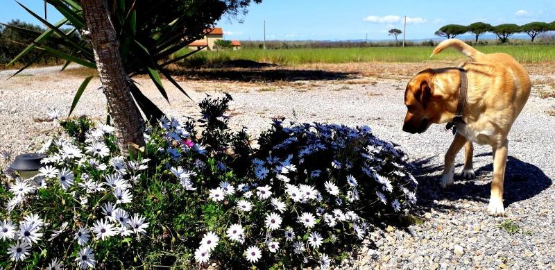 Agriturismo Monte Argentario image