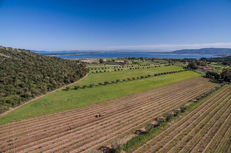 Agriturismo Monte Argentario image