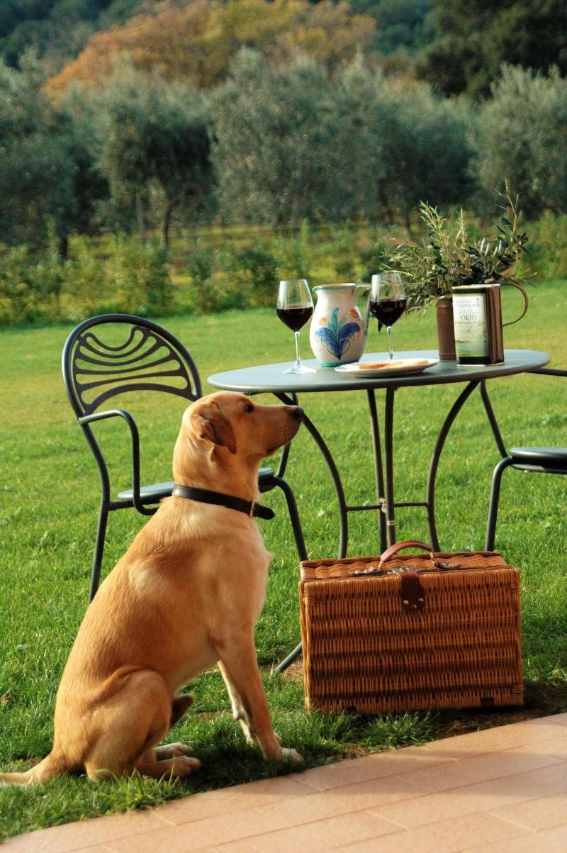 Agriturismo Monte Argentario image