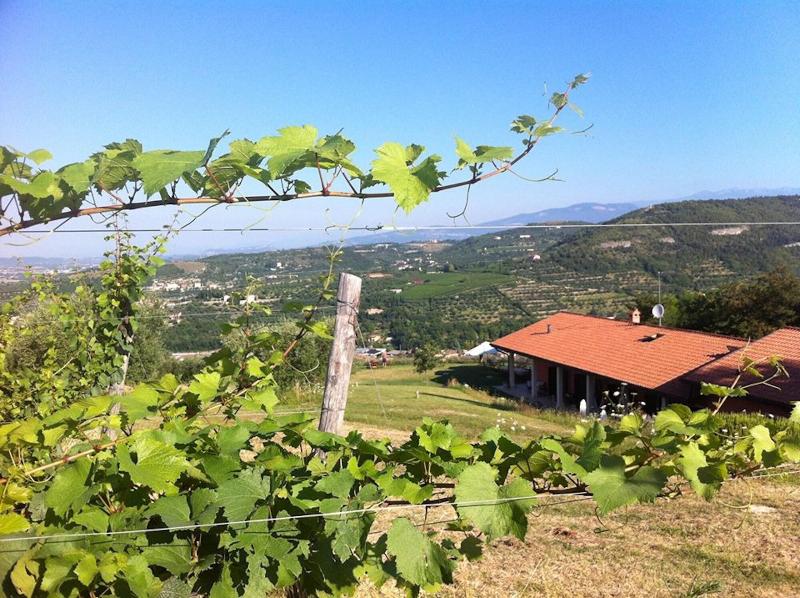 Agriturismo il Pianetto image
