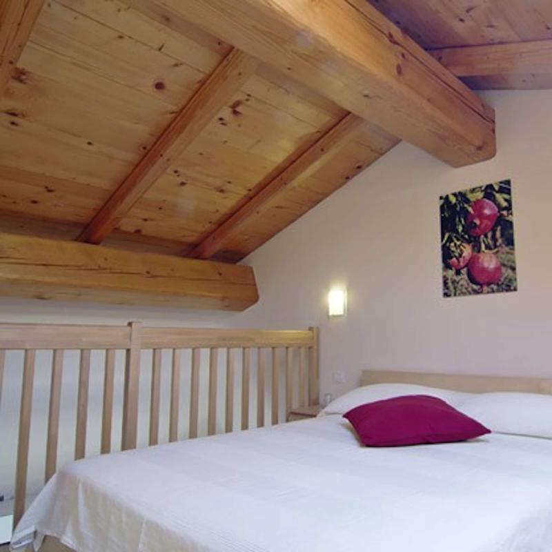 Agriturismo il Pianetto image