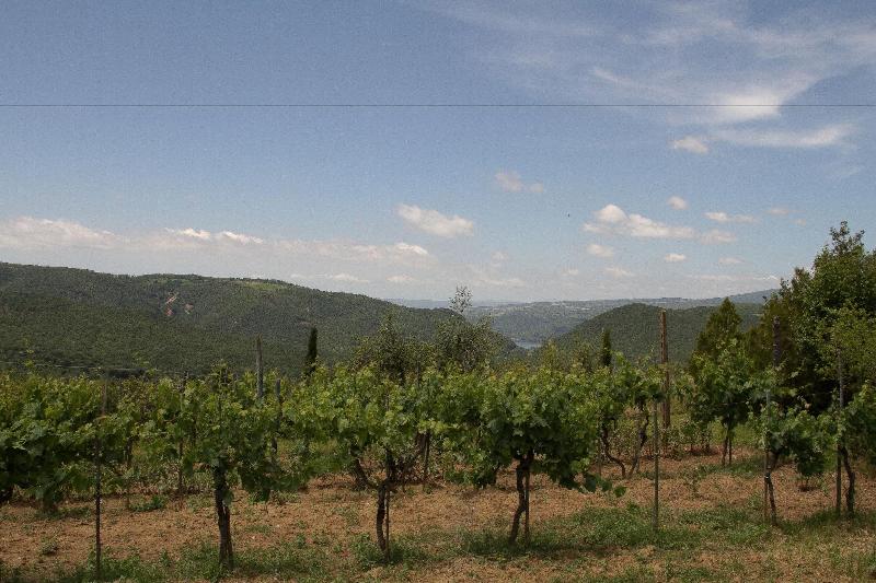 Agriturismo Podere Acqualoreto — photo 5
