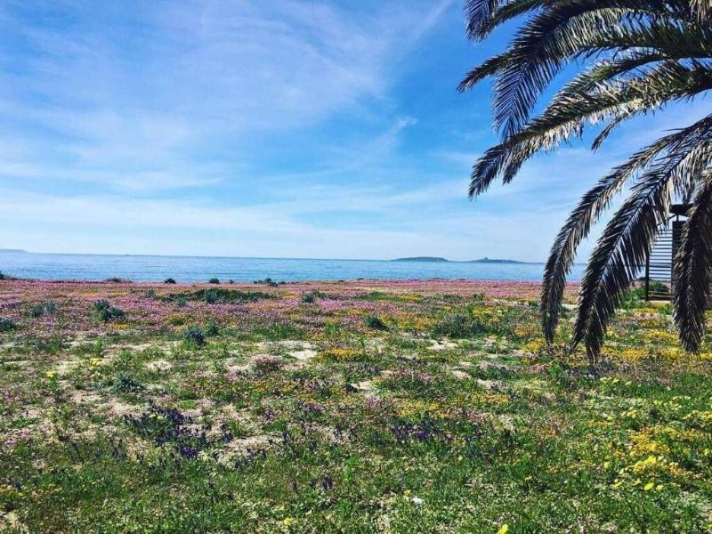 Affittacamere Acquamarina image