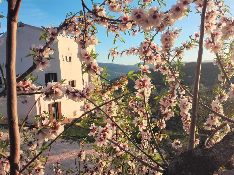 Torre Bruno image