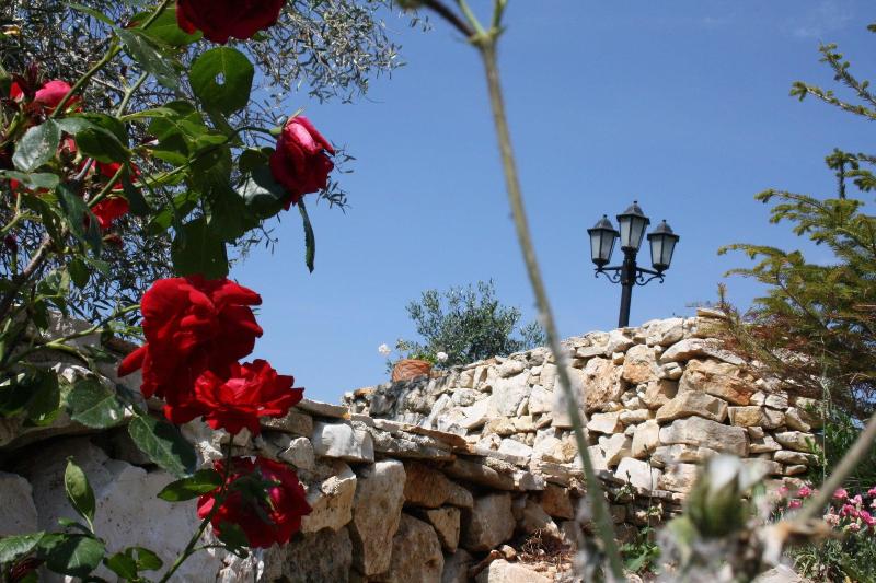 Torre Bruno image