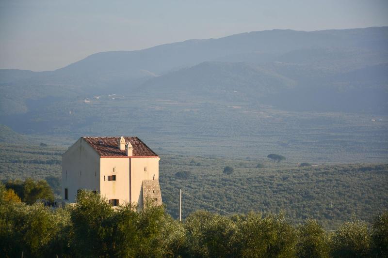 Torre Bruno image