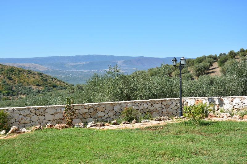 Torre Bruno image