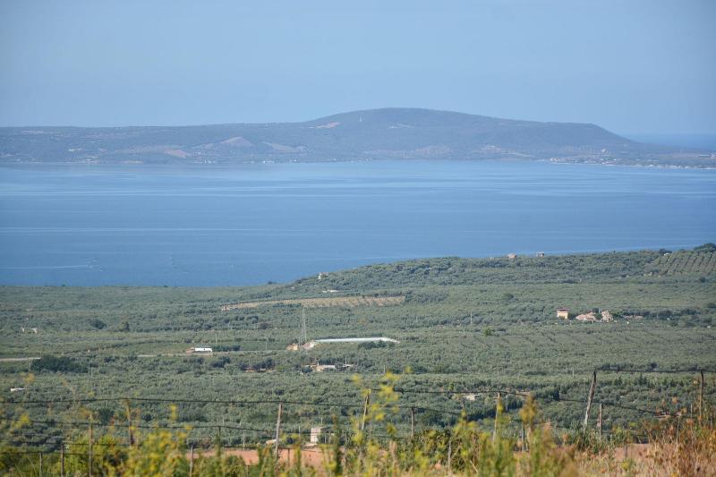 Torre Bruno image