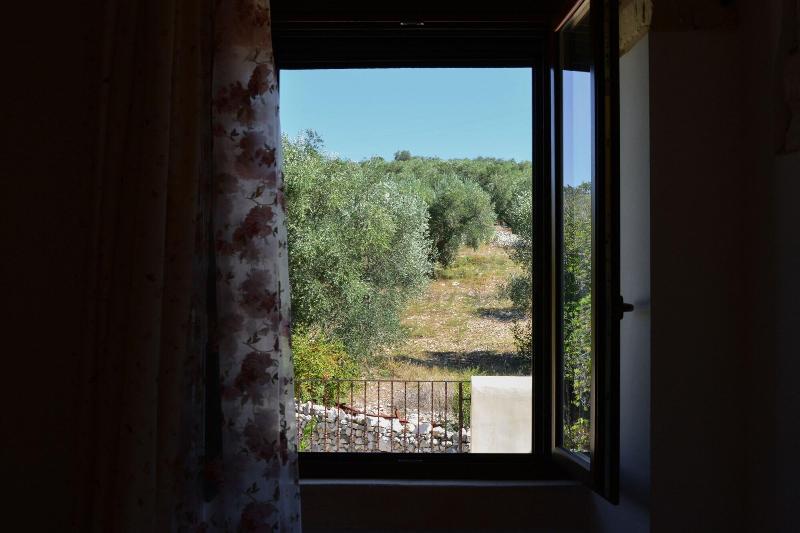 Torre Bruno image