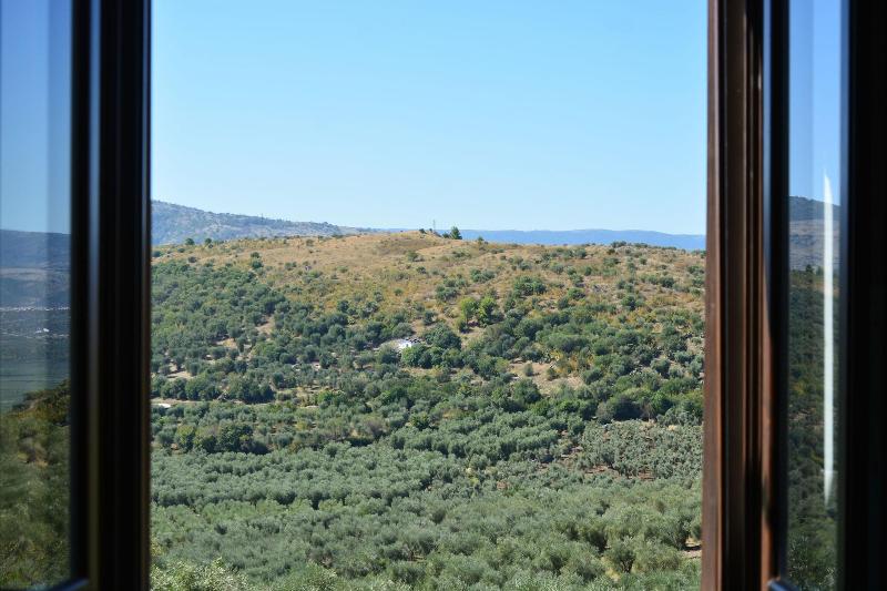 Torre Bruno image