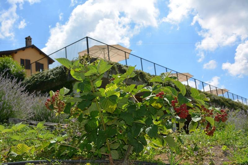 Ca' Villa Club Agriturismo image