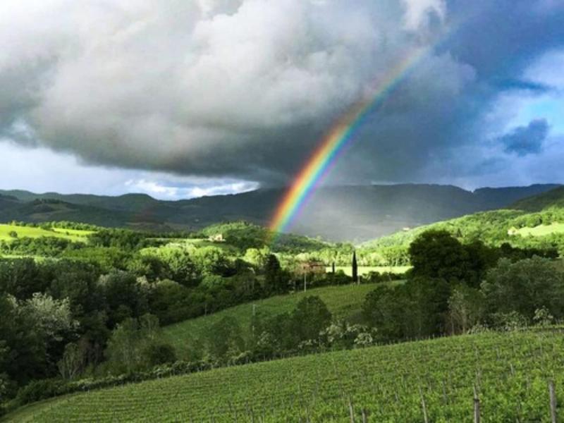 Tenuta CorteDomina image
