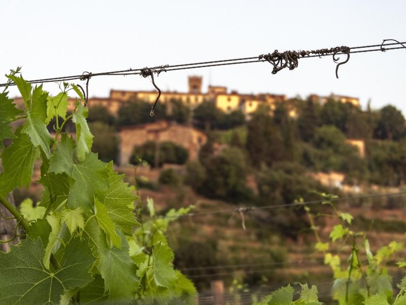 Tenuta CorteDomina image
