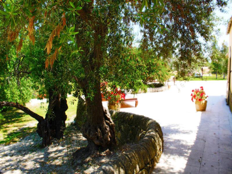 Terre di Vendicari image