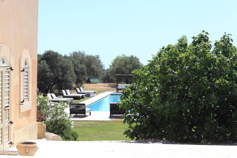 Terre di Vendicari image