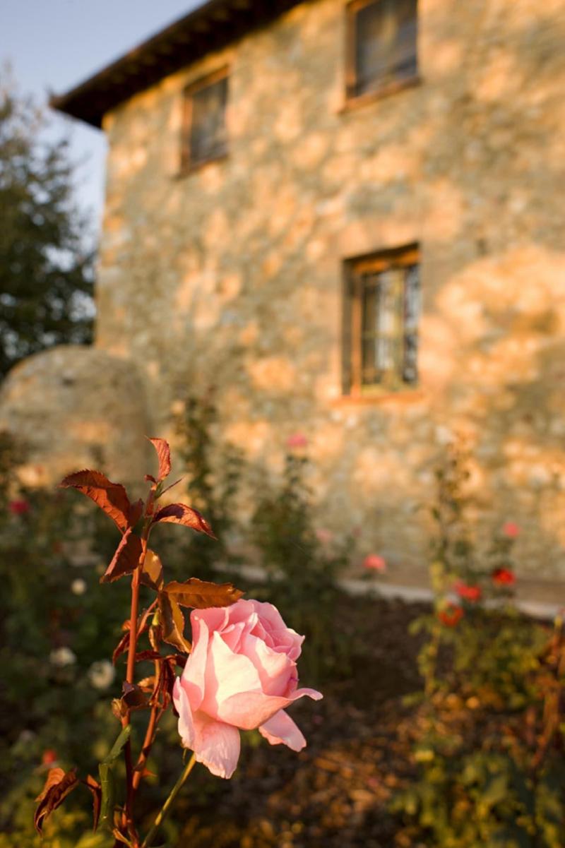 Villa Il Castagno Wine & Resort image
