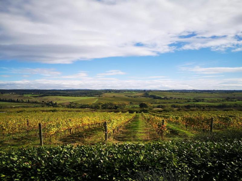Villa Il Castagno Wine & Resort image