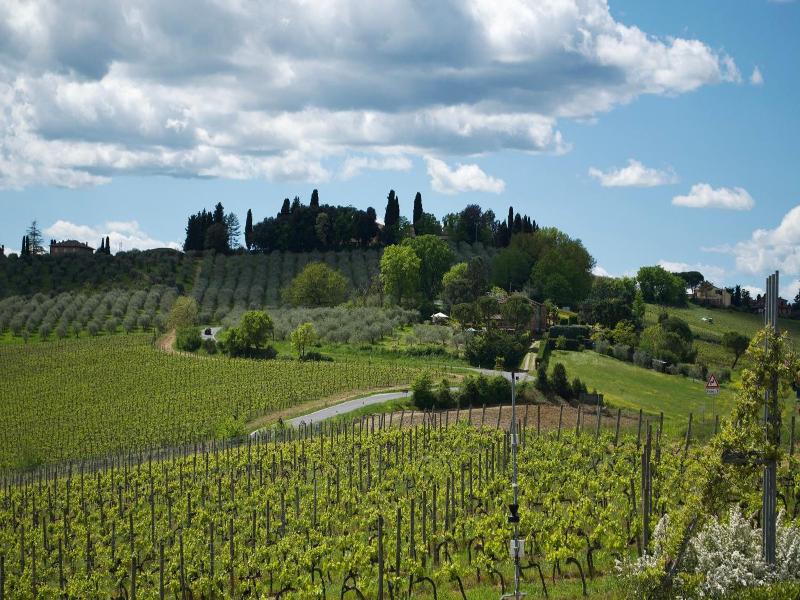 Villa Il Castagno Wine & Resort image