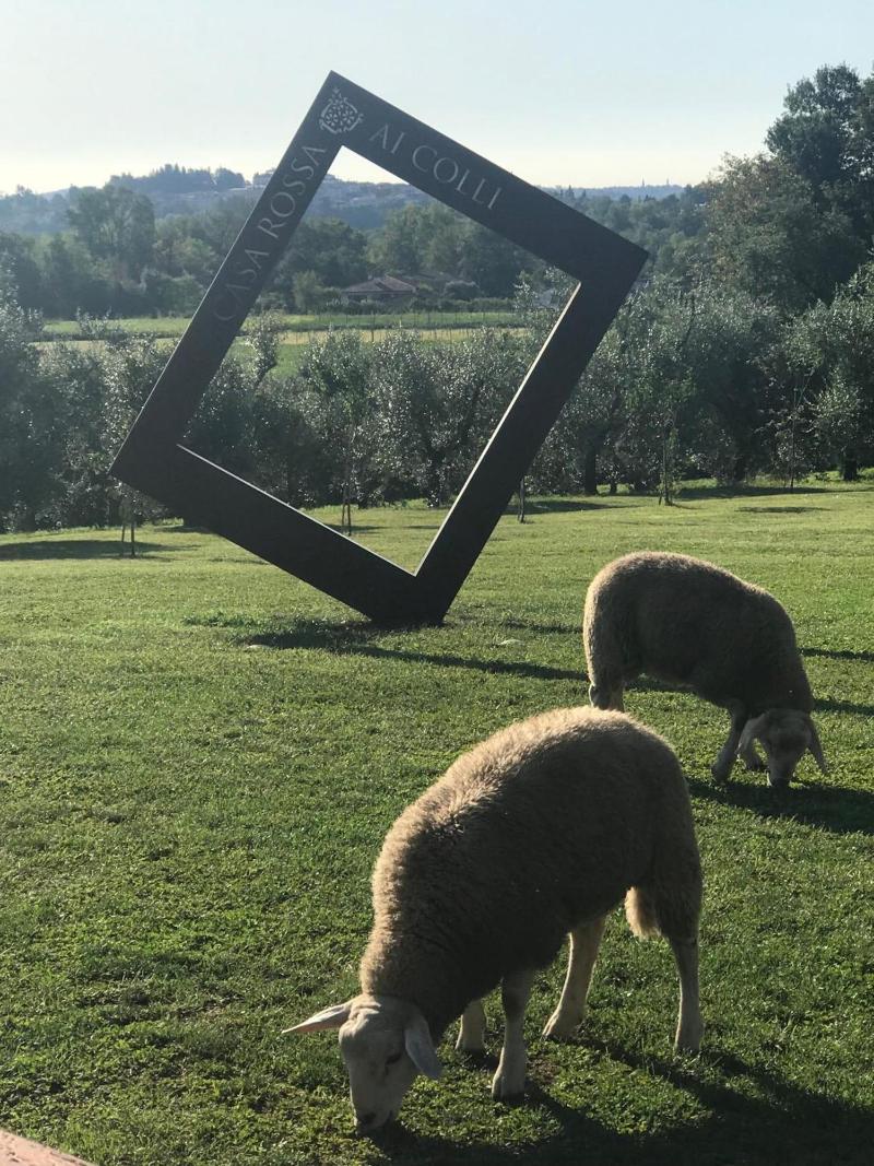 Casa Rossa ai Colli image