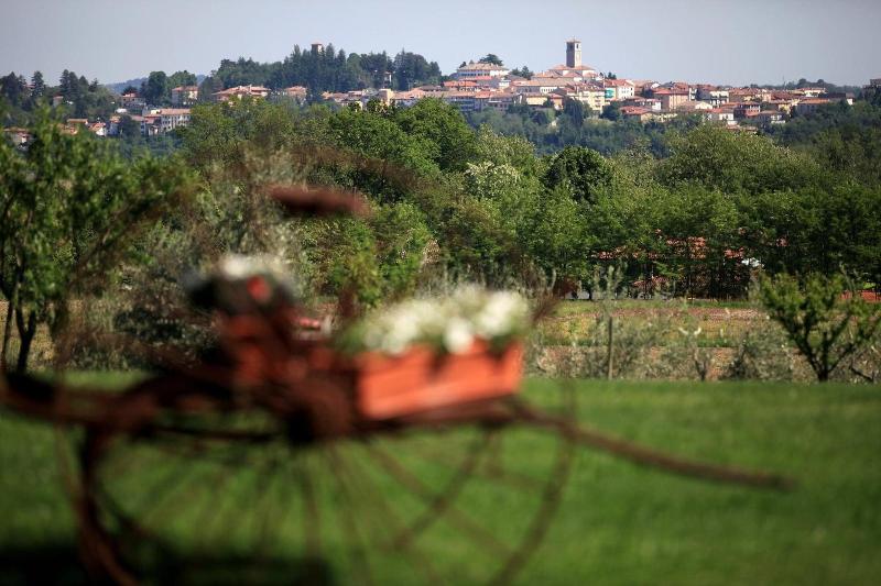 Casa Rossa ai Colli image