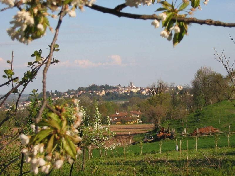Casa Rossa ai Colli image
