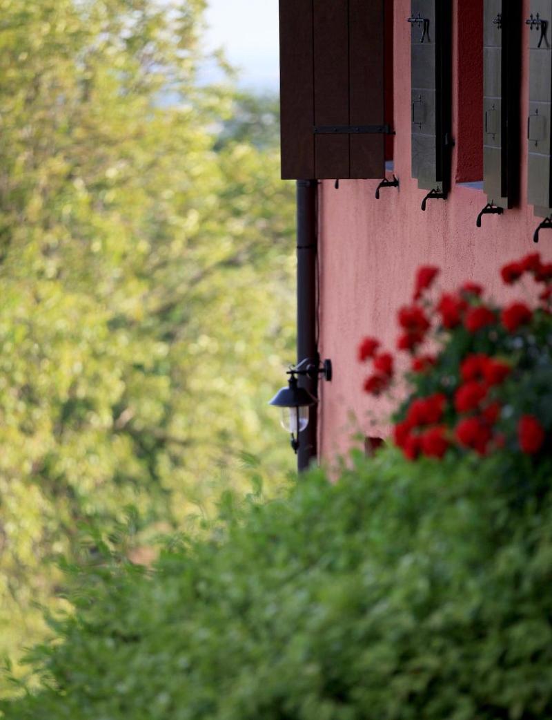 Casa Rossa ai Colli image