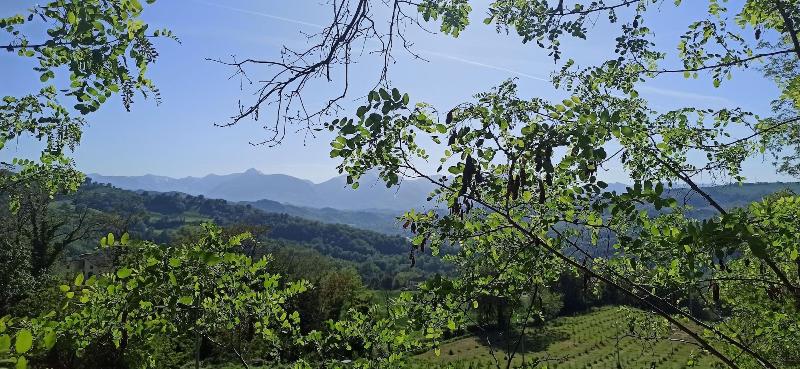 Saecula Natural Village Experience image