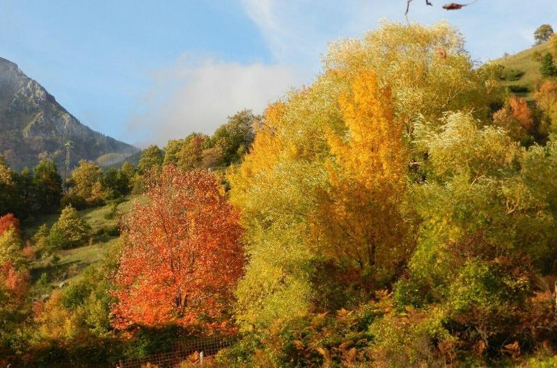 Saecula Natural Village Experience image