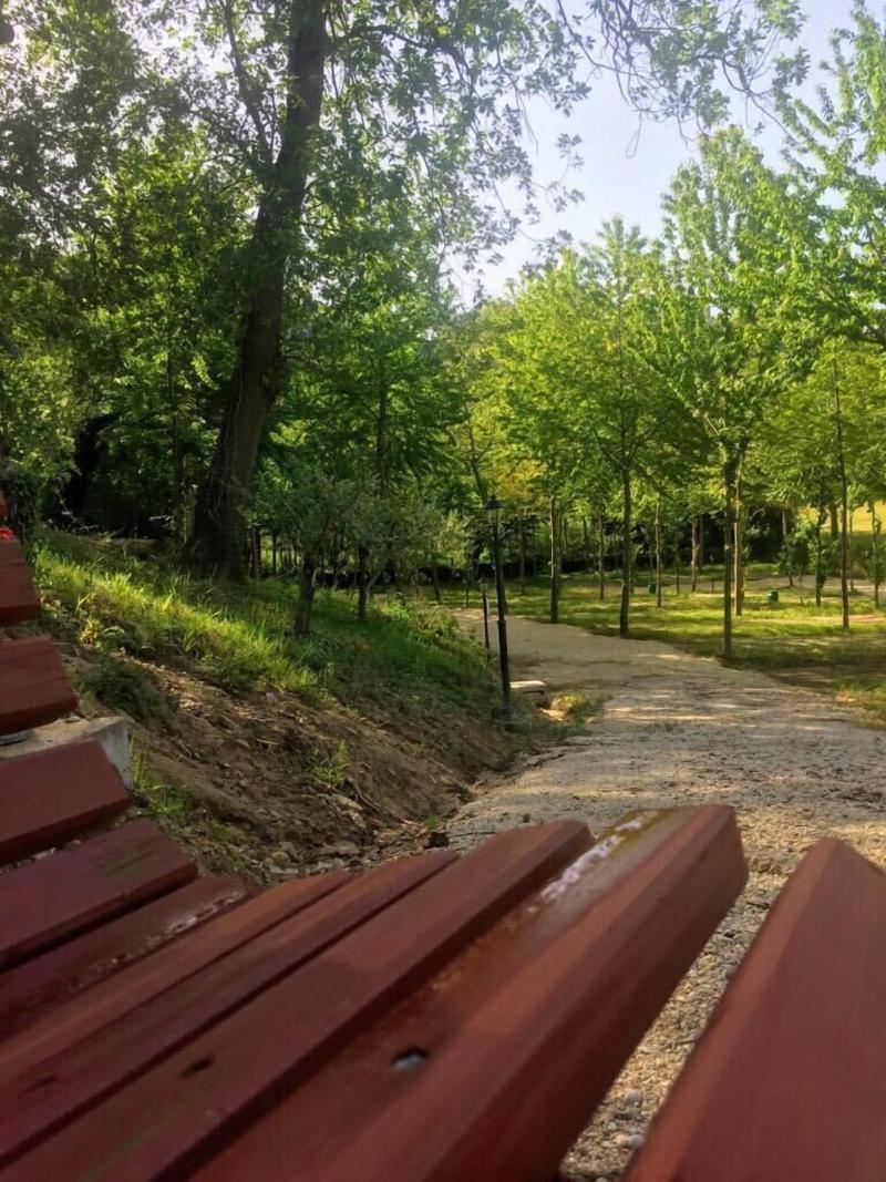 Saecula Natural Village Experience image