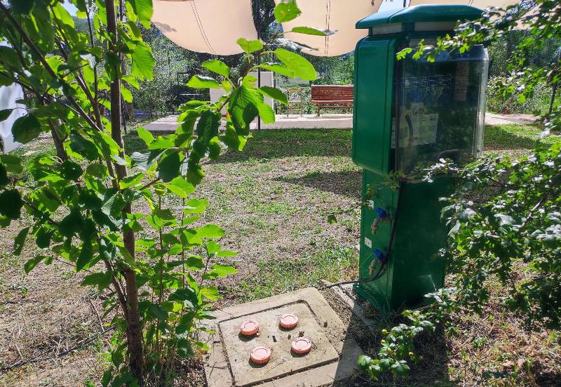 Saecula Natural Village Experience image