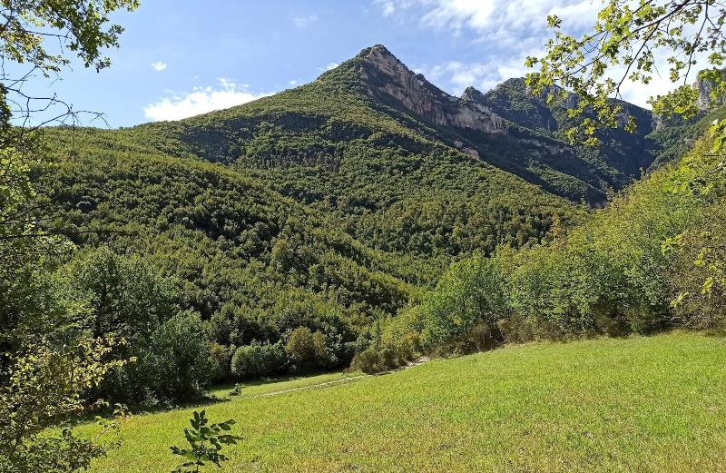 Saecula Natural Village Experience image