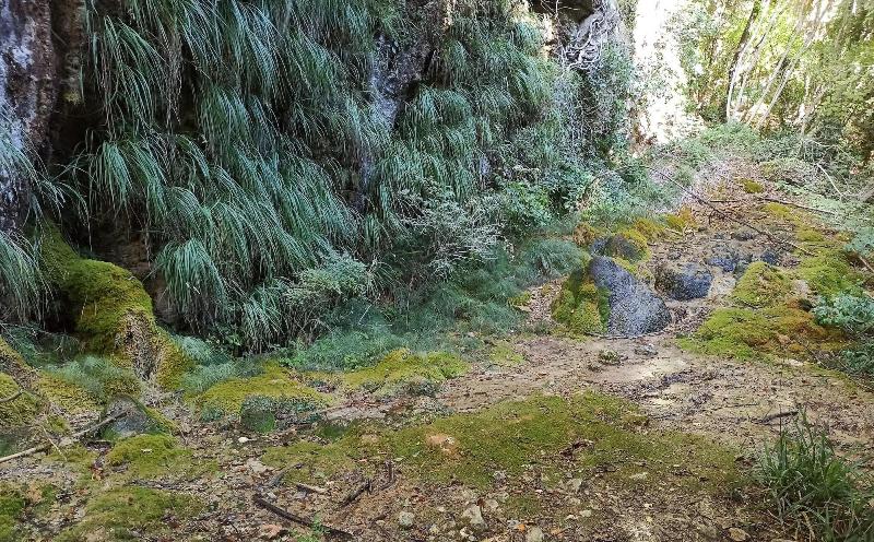 Saecula Natural Village Experience image