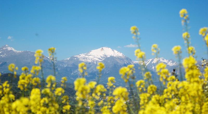 Saecula Natural Village Experience image