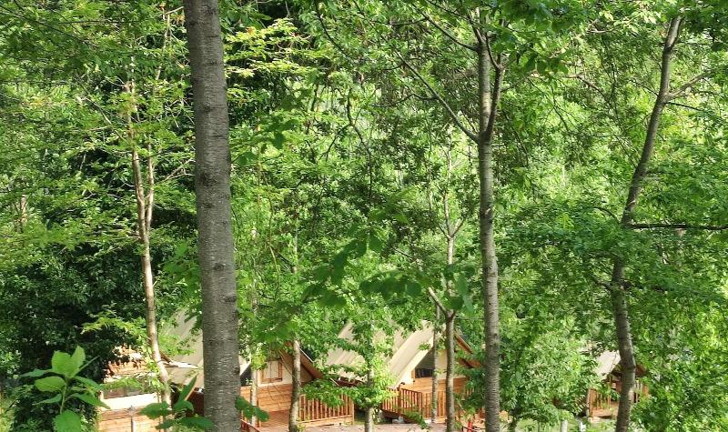 Saecula Natural Village Experience image