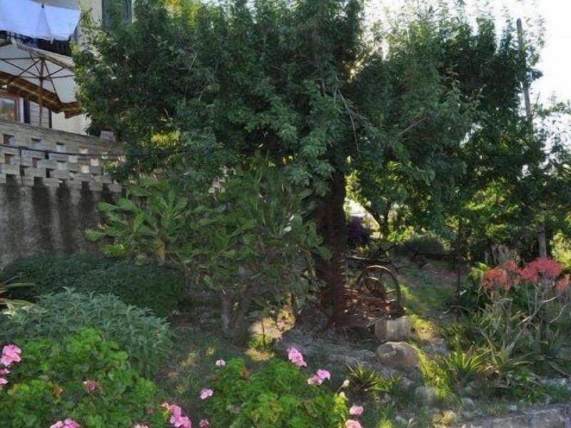 Il Terrazzo sul Sinni image