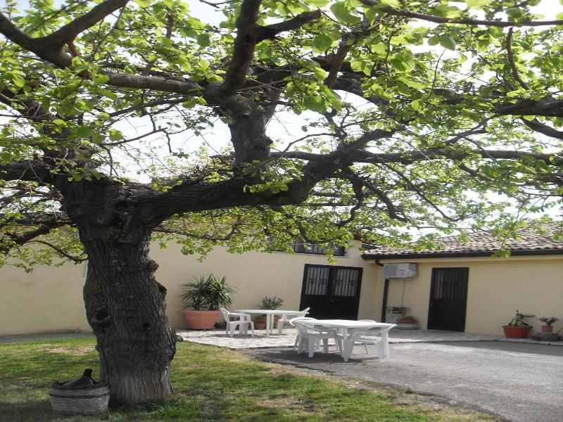 Il Terrazzo sul Sinni image
